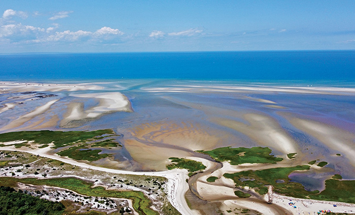 Aerial view of an ocean with clear blue skies stretching into a beach and green land.